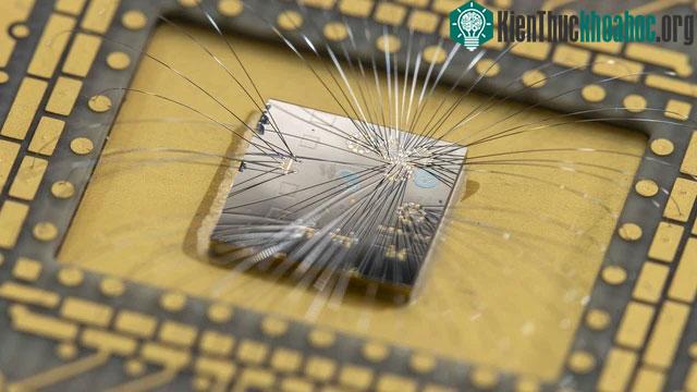 Chip lượng tử do Microsoft chế tạo.