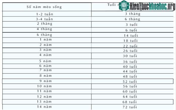 Cách tính tuổi mèo
