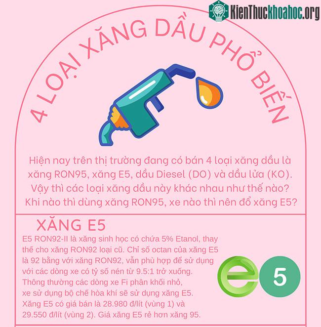 Tìm hiểu về những loại xăng, dầu phổ biến nhất hiện nay