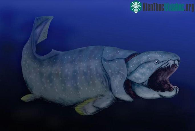 Dunkleosteus