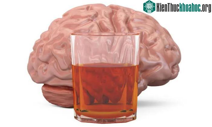 Mối liên hệ càng phát triển khi mức độ tiêu thụ rượu càng lớn.