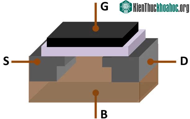 Các thành phần cơ bản của bóng bán dẫn: Cực Gate (G), cực Source (S) và cực Drain (D)