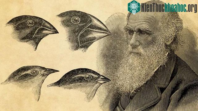 Charles Darwin