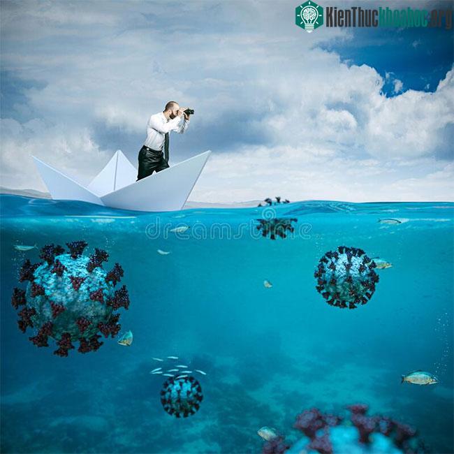 Các chuyên gia xác định được khoảng 5.500 loài virus RNA mới.
