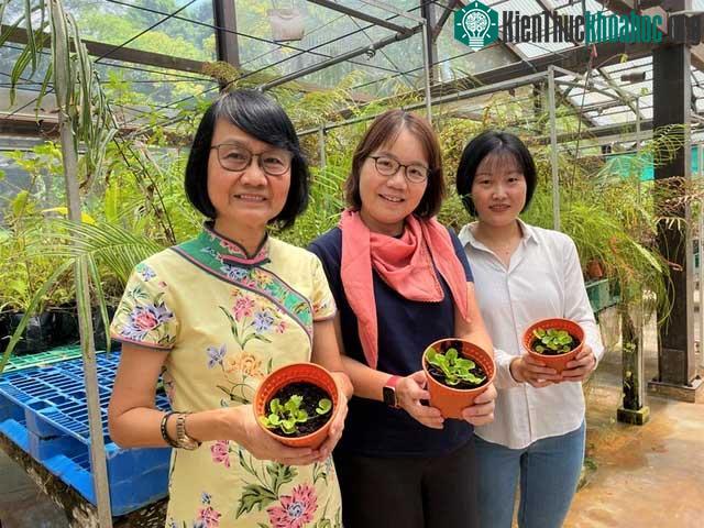 Nhóm nghiên cứu chụp ảnh với những chậu cây "giải độc".