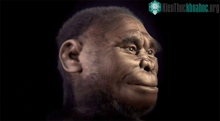 &nbsp;Homo floresiensis, còn gọi là Men of Flores