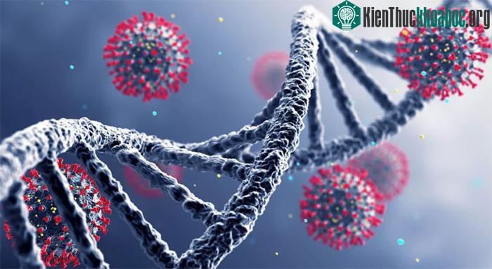 SARS-CoV-2 thường đột biến bằng cách xóa các phần nhỏ mã di truyền của nó