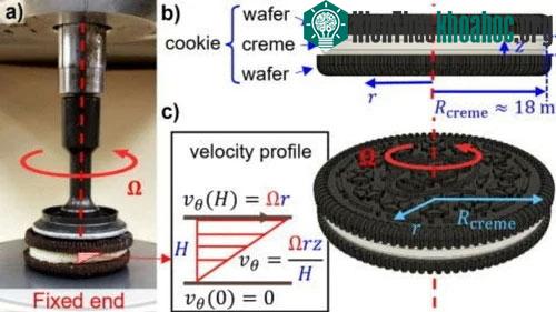 Các nhà khoa học công bố nghiên cứu đột phá về quá trình tách bánh Oreo sao cho hai nửa bằng nhau ảnh 0