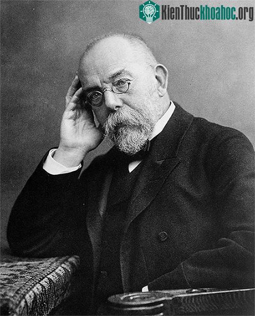 Bác sĩ Rober Koch