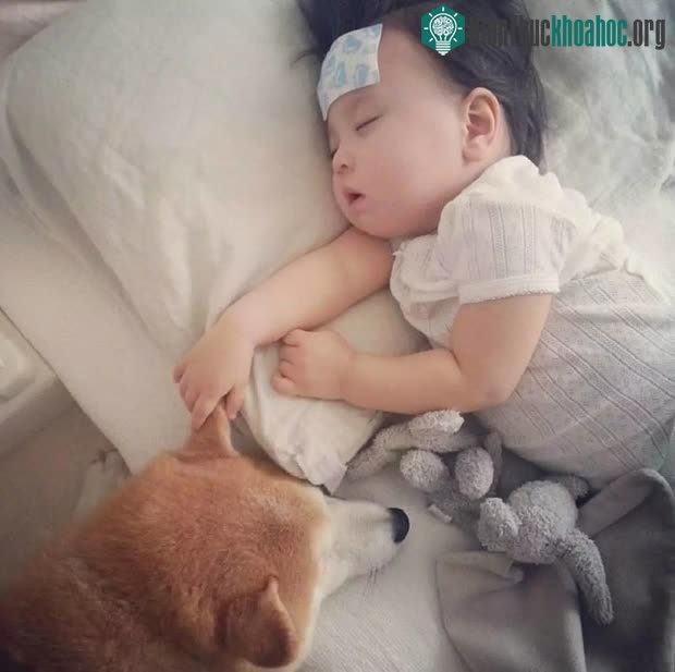 Nnên uống dự phòng vaccine Rota cho trẻ từ 2 tháng tuổi.