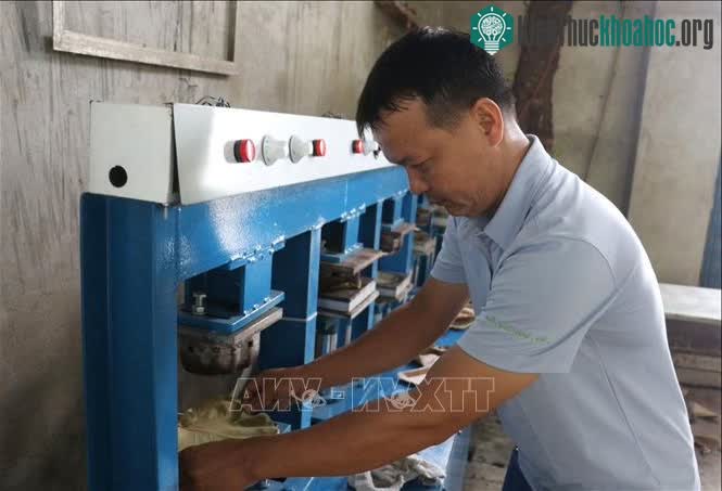 Anh Nguyễn Văn Tuyến ép lá nho biển vào khuôn tạo hình chiếc đĩa.&nbsp;