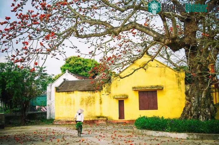Vẻ đẹp bình dị, mộc mạc mà rất đỗi nên thơ.