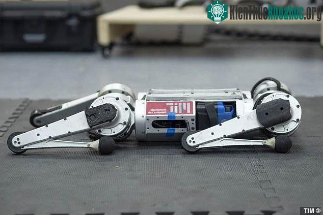 Robot Cheetah mini là phiên bản cải tiến của người anh em Cheetah ra mắt năm 2012,