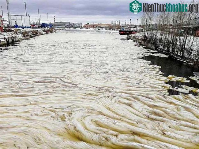 Hiện tượng hiếm gặp: "Mỡ băng" kì dị ở St. Peterburg ảnh 1