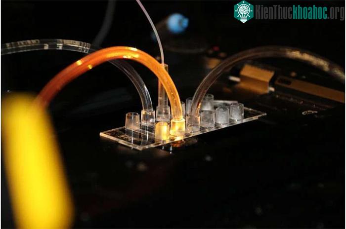 SPARCLD cho phép các thí nghiệm hóa sinh có thể diễn ra trên quy mô nano.