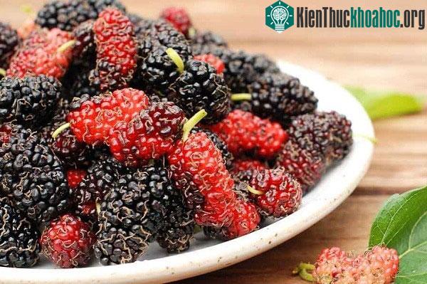 Ăn hay uống nước từ dâu tằm sẽ giúp giảm chất béo dư thừa và giảm mức cholesterol.