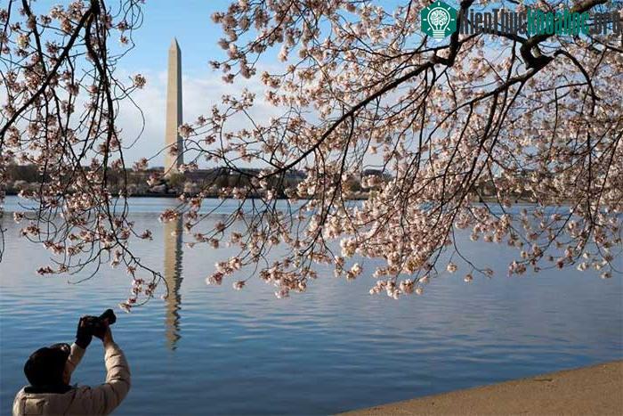 Tượng đài Washington nhìn từ bờ hồ Tidal Basin ở Washington, vào ngày 28/3.