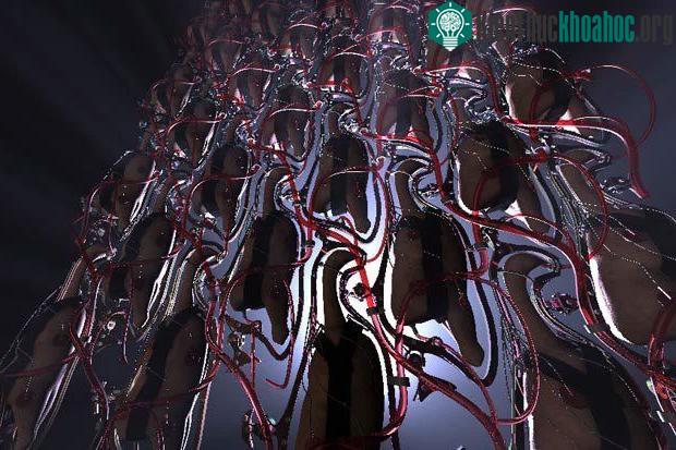 Đây là viễn cảnh loài gà được nuôi nhốt như cách con người phải trải qua trong phim The Matrix ảnh 2