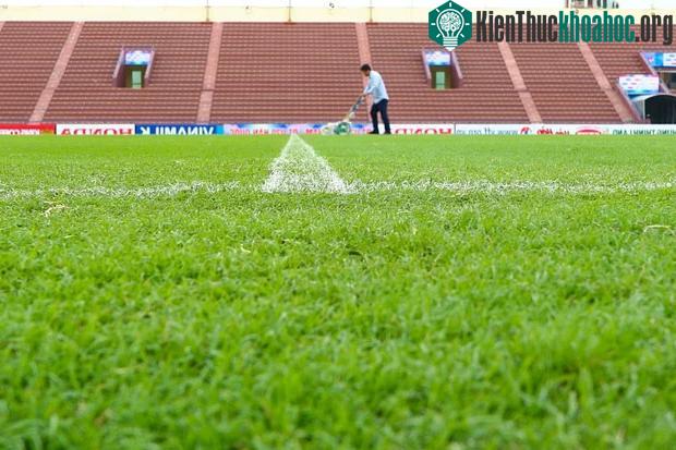 Cận cảnh sân đấu SEA Games của U23 Việt Nam: Tân trang mới, đẹp ngỡ ngàng! ảnh 2