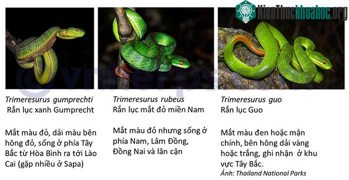 Đối với nhóm 1, là nhóm có màu mắt đỏ thì chúng ta cần thêm các thông tin sau để nhận dạng.