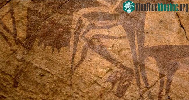 Những hình điêu khắc gia súc ở Wadi Sura, Ai Cập.