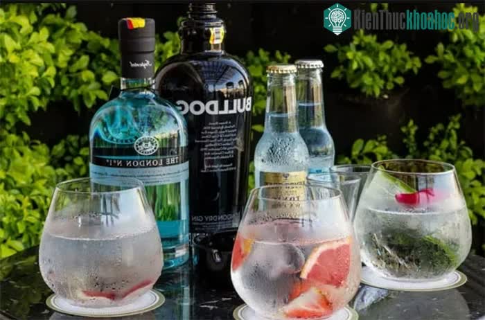Rượu Gin