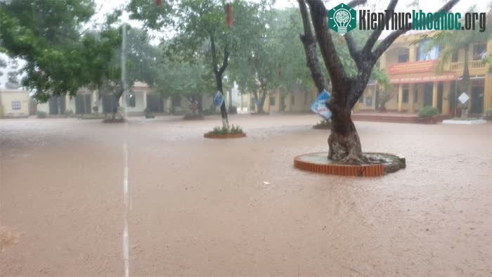 Mưa lũ lớn ở Bắc Giang, hàng trăm ngôi nhà chìm trong biển nước ảnh 3