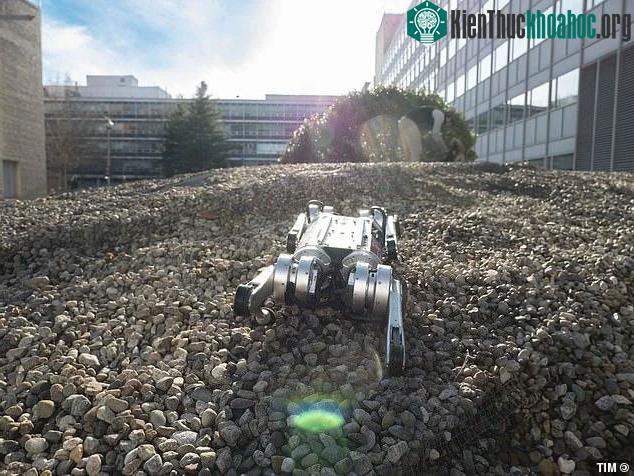 Khá khó khăn để lập trình cho một robot chạy trên địa hình hiểm trở.