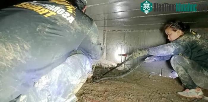 Nhân viên cứu hộ đã mất 3 ngày để có thể bắt gọn được