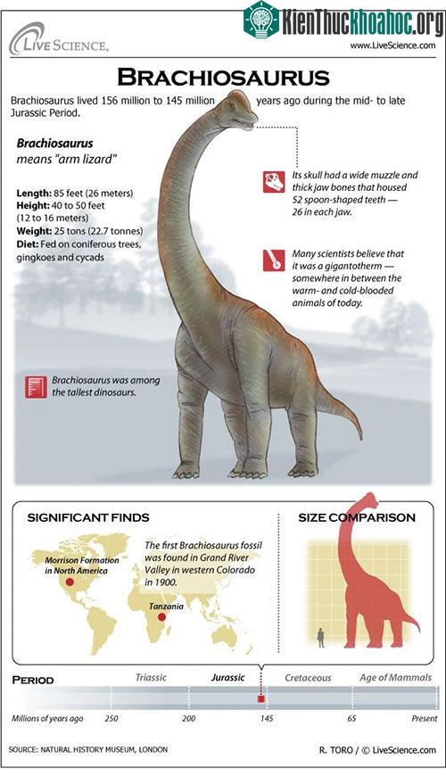 Thông tin chi tiết về khủng long Barchiosaurus