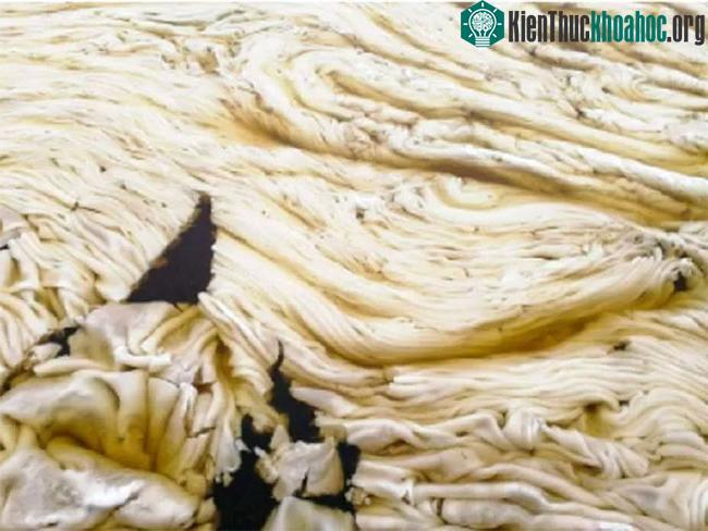 Một số cho rằng Snezhura nhìn giống như "bánh bao nấu quá chín trong nồi"