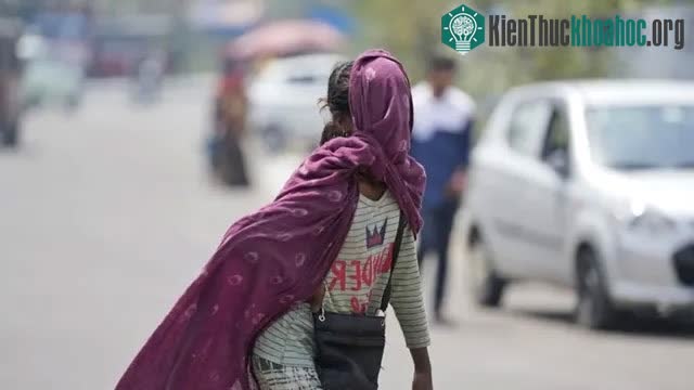 Quốc gia láng giềng của Ấn Độ là Pakistan đang chứng kiến tình trạng tương tự.