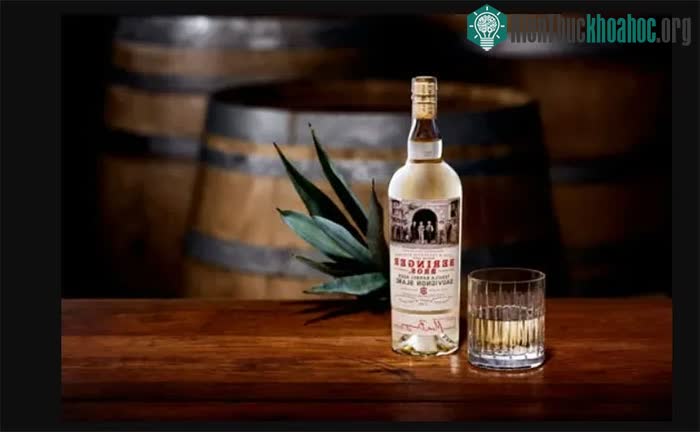 Rượu Tequila