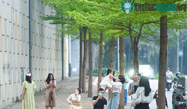 Đoạn đường ven sông Tô Lịch thu hút du khách tới chụp ảnh trong tuần qua