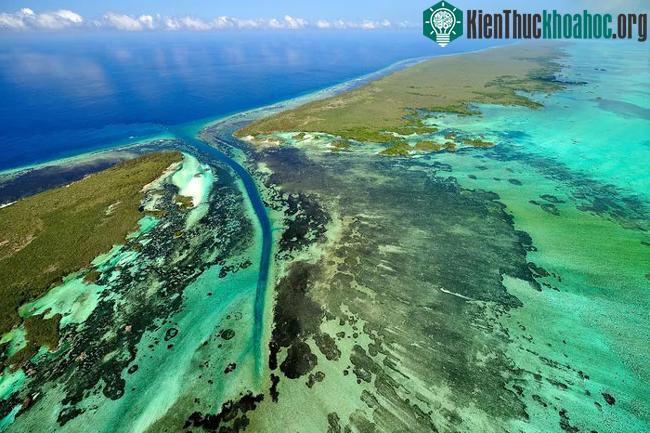 Đảo san hô Aldabra của Seychelles ở Ấn Độ Dương