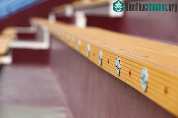 Các khu vực ngồi đều được đánh số cũng như vệ sinh trước và sau mỗi trận đấu
