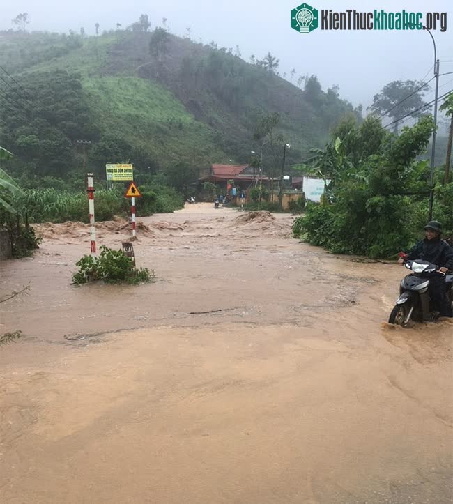 Mưa lũ lớn ở Bắc Giang, hàng trăm ngôi nhà chìm trong biển nước ảnh 7