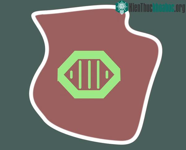 Escape Hypothesis