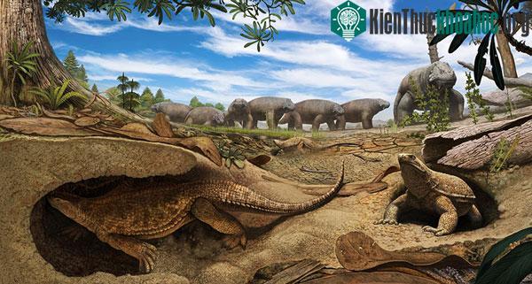 Eunotosaurus