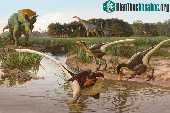 Kỷ Phẩn Trắng được đặt tên theo yếu tố địa chất.