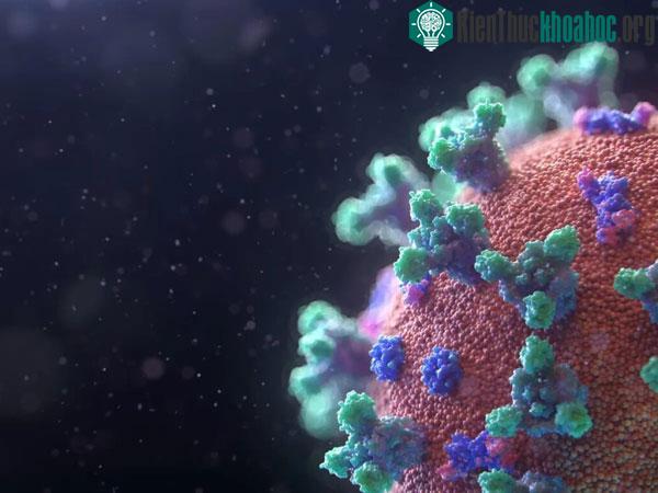 Virus