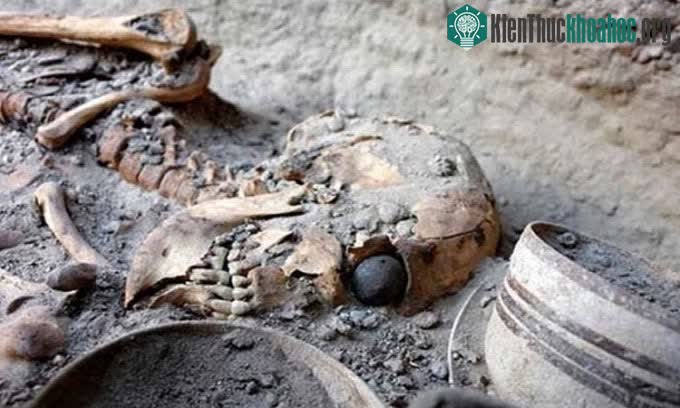 Con mắt giả nằm trong hốc mắt của người phụ nữ trong mộ.