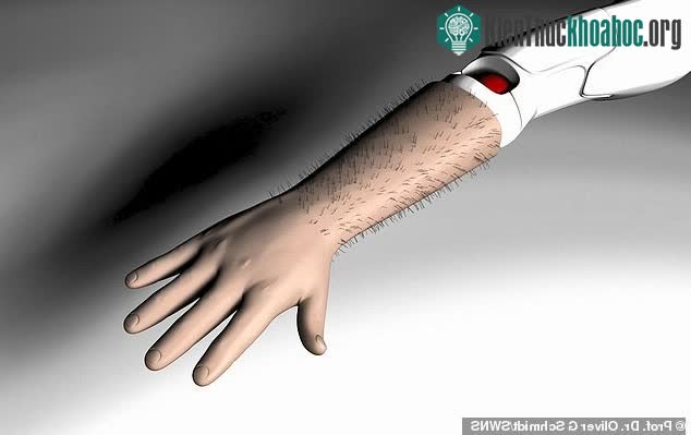 Hình ảnh mô phỏng da điện tử gắn các sợi lông nhân tạo