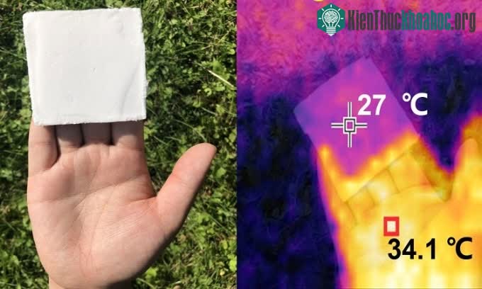 Vật liệu bọt làm mát có nguồn gốc từ gỗ.