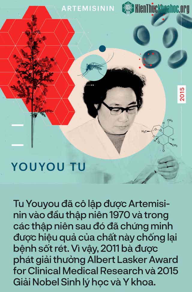 Tu Youyou