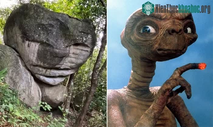 Tảng đá có những đặc điểm mà nhiều người mô tả là giống người ngoài hành tinh.