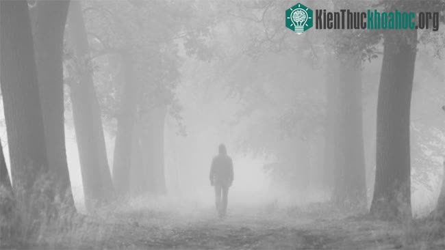 Dưới góc độ tâm lý học, hiện tượng “ma đưa” chính là hệ quả của hiện tượng ảo giác
