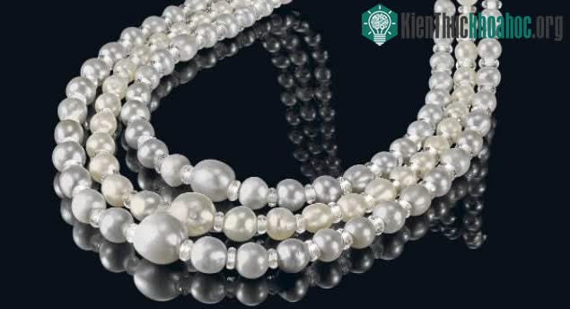 Những viên ngọc trai tự nhiên ở hàng giữa mang màu sắc khác biệt
