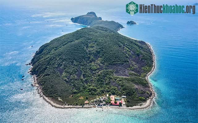 Nghĩa địa san hô trong khu bảo tồn vịnh Nha Trang ảnh 0