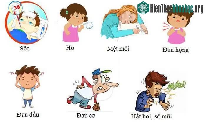 Những triệu chứng thường gặp ở bệnh cảm cúm.
